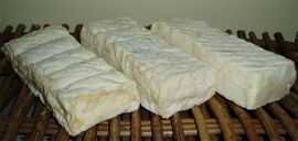 Briquette de chèvre des Gors cheese