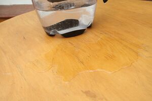 The puddle left on the table