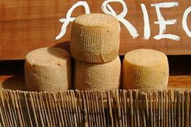 Tomme de chèvre des Pyrénées cheese