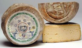 Toma Piemontese cheese