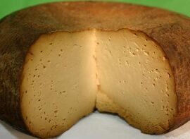 Ricotta di bufala Infornata cheese