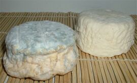 Fleur de chèvre cheese