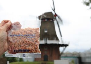 Brown shrimp - Difficult to find in the UK - easy to find in The Netherlands.