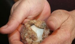 Work the meat around the egg