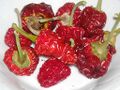 Cherry bomb chillies