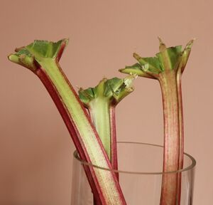 Jess Russell's clever way to trim rhubarb!