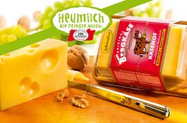 Käsehof Bergkäse cheese