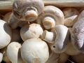 White mushrooms