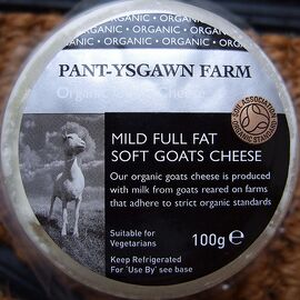 Pant-Ysgawn cheese