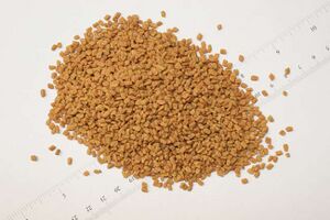 Fenugreek seeds