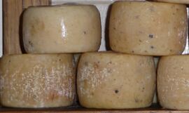 Pecorino con il pepe cheese