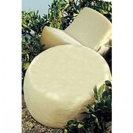 Caciotta del Monte Lazzarina cheese