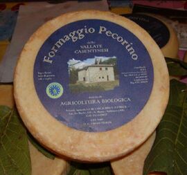 Pecorino del Casentino cheese