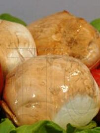 Provola affumicata di bufala cheese