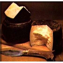 Pecorino del Pastore cheese