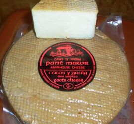 Pant Mawr Caws Y Graig cheese