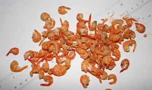 Dried shrimp