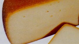 Pecorino dell'Appennino Reggiano cheese